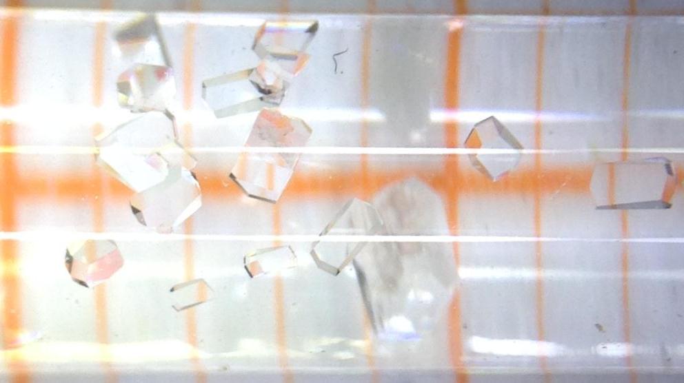 How do protein crystals grow?