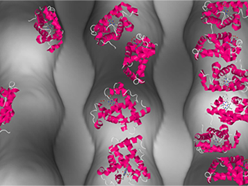 Preventing Clumping: How to Keep Proteins Active