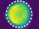 Disenchanted Exotic: Neutrons show how skyrmions form